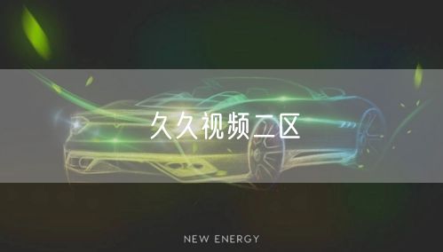 久久视频二区
