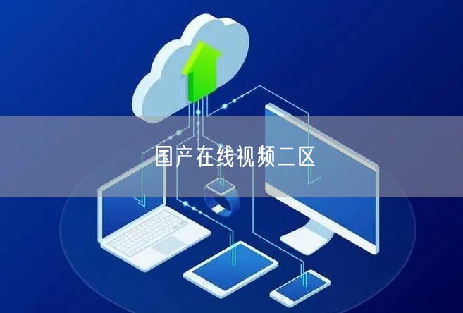 国产在线视频二区