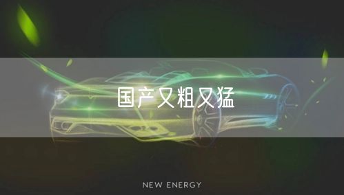 国产又粗又猛