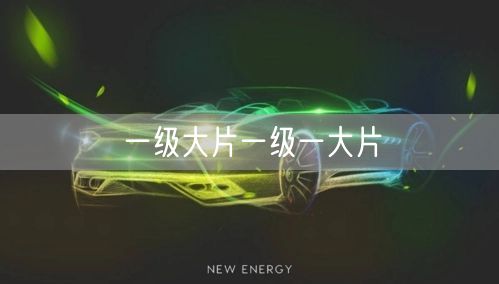 一级大片一级一大片
