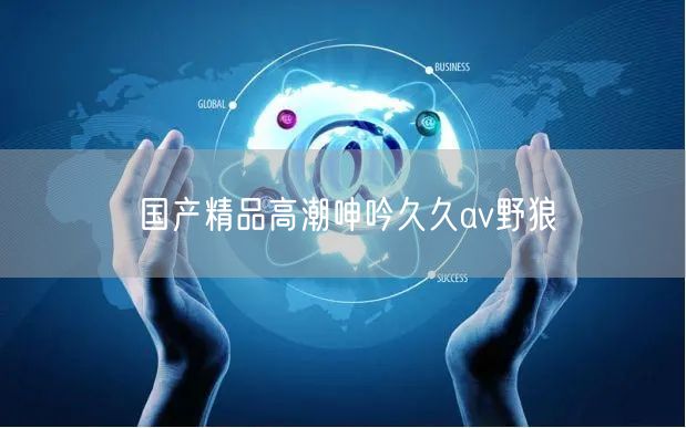 国产精品高潮呻吟久久av野狼