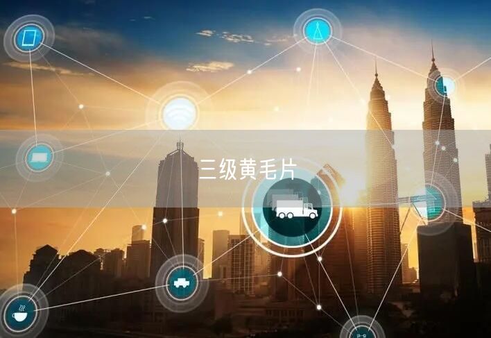 三级黄毛片